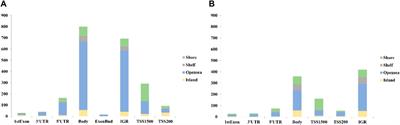 Older postmenopausal women with lower lean mass have hypermethylated sites in the PI3K-Akt pathway